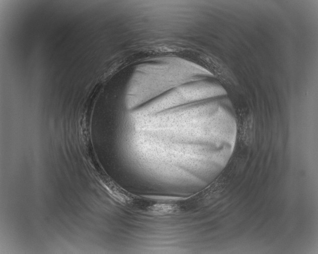 X0000082950418200702152245