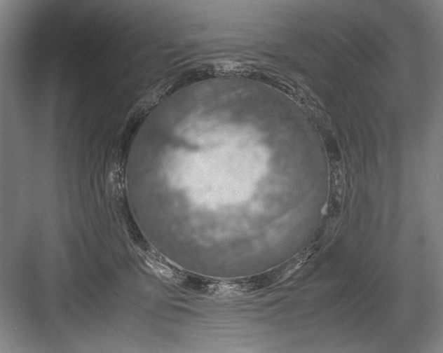 X0000082950419200702152245