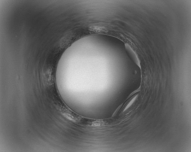 X0000082950420200702152245