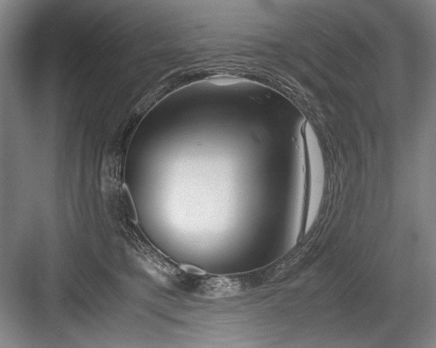 X0000082950421200702152245