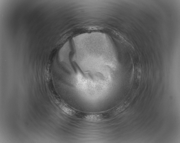 X0000082950422200702152245