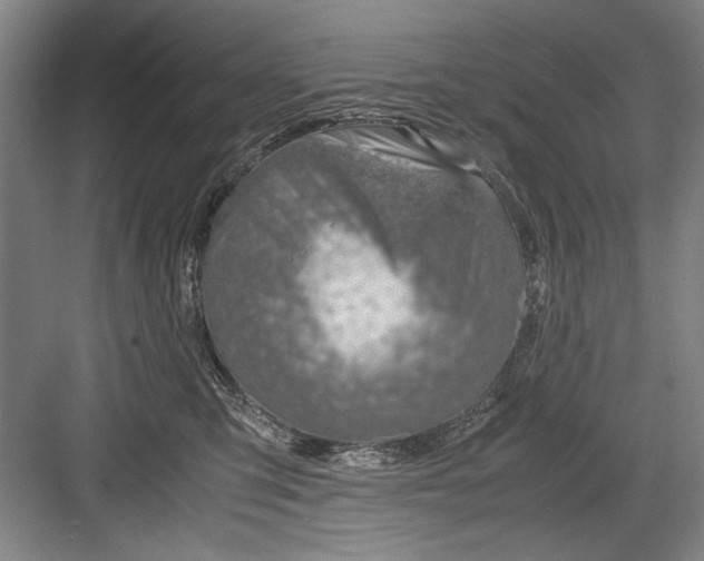 X0000082950423200702152245