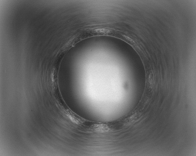 X0000082950424200702152245