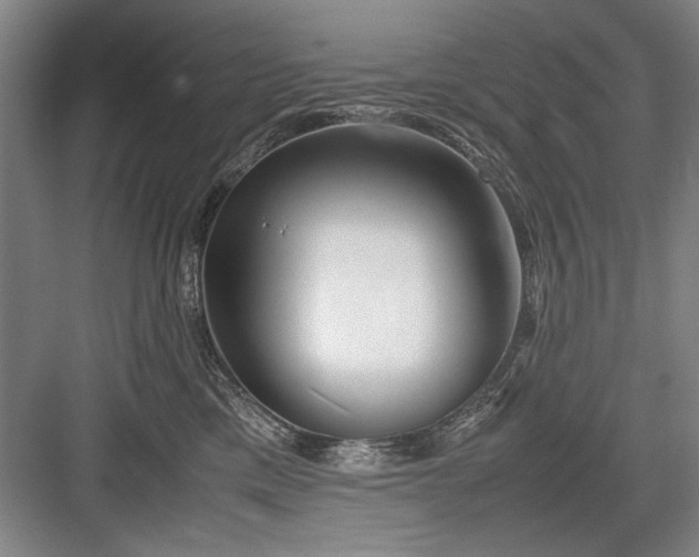 X0000082950425200702152245