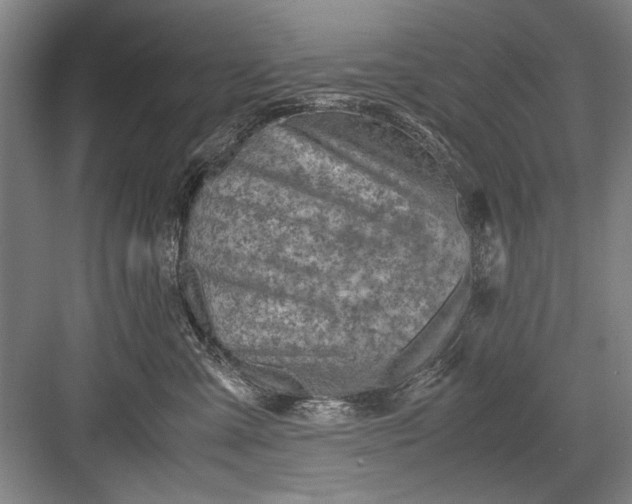 X0000082950427200702152245