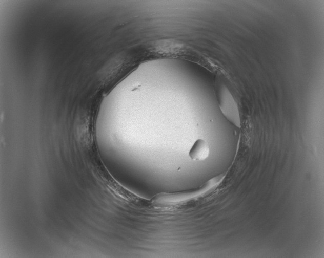 X0000082950428200702152245