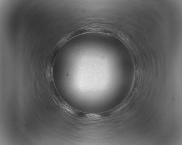 X0000082950429200702152245