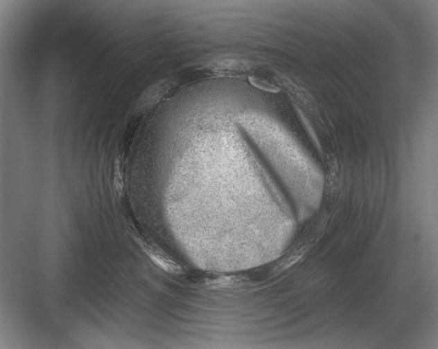 X0000082950430200702152245