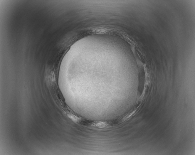 X0000082950431200702152245