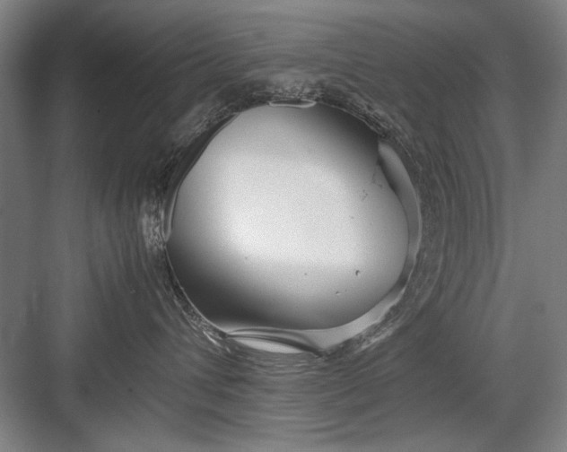 X0000082950432200702152245