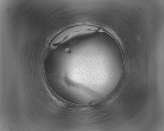 X0000082950433200702152244