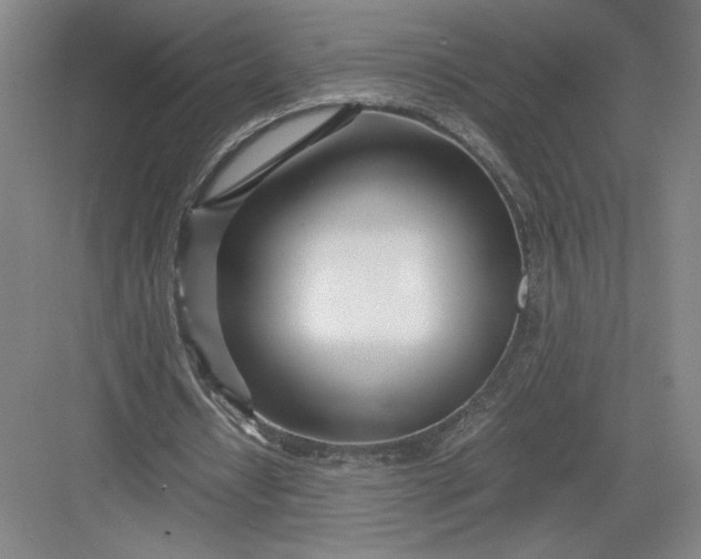 X0000082950434200702152244