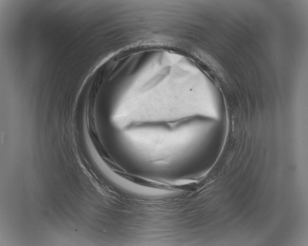 X0000082950436200702152244