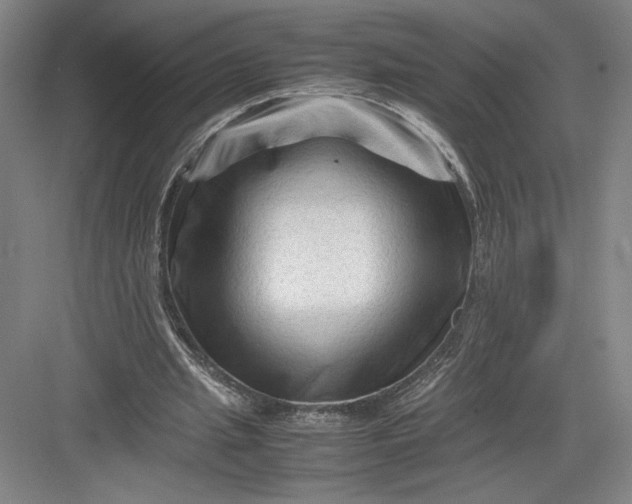 X0000082950437200702152244