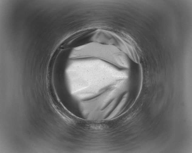 X0000082950439200702152244