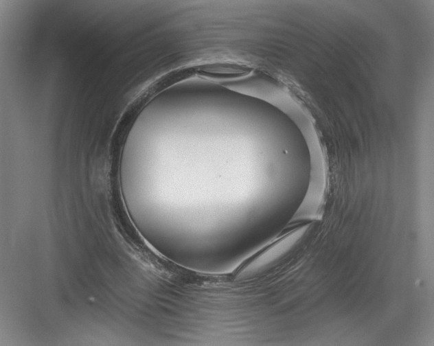 X0000082950440200702152244