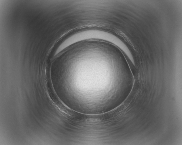 X0000082950444200702152244