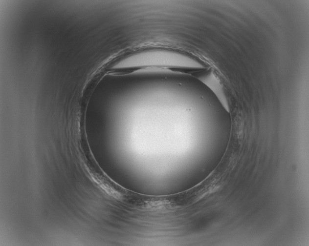 X0000082950446200702152244