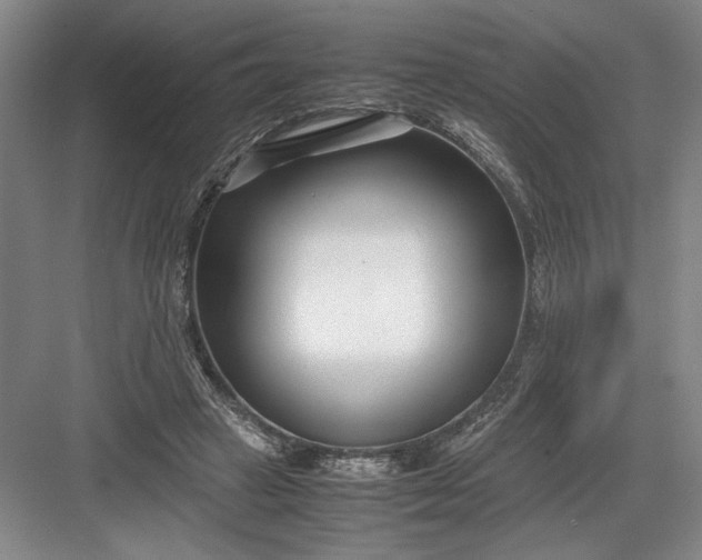 X0000082950449200702152244