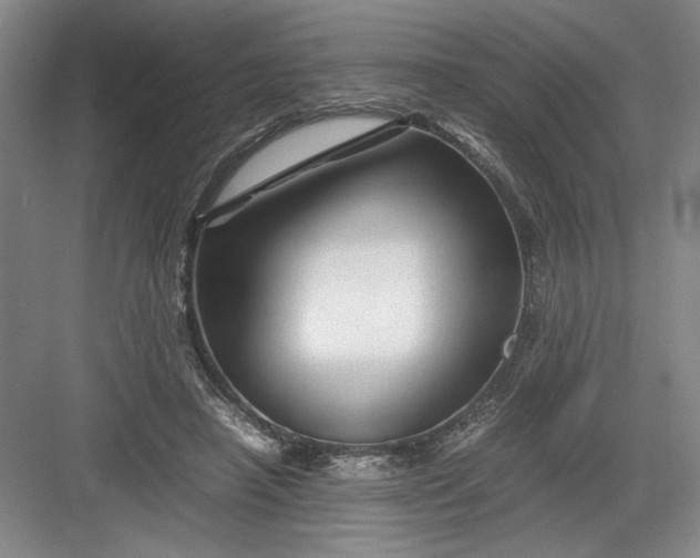 X0000082950450200702152244