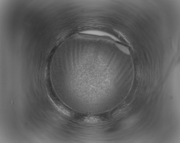 X0000082950451200702152244