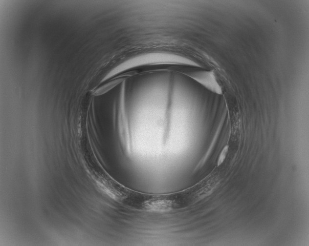 X0000082950452200702152244