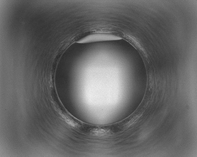 X0000082950453200702152244