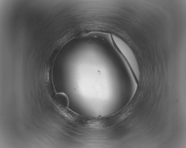 X0000082950454200702152244