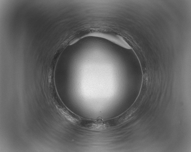 X0000082950458200702152244