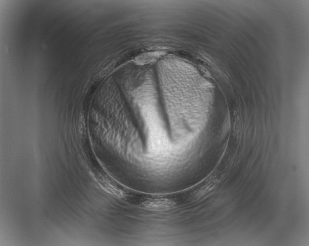 X0000082950459200702152244