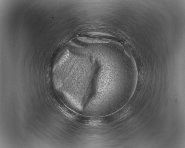 X0000082950462200702152244