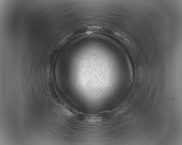 X0000082950463200702152244