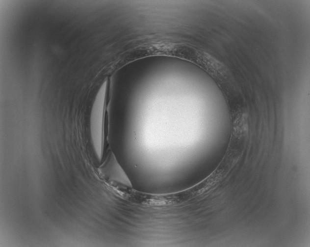 X0000082950464200702152244