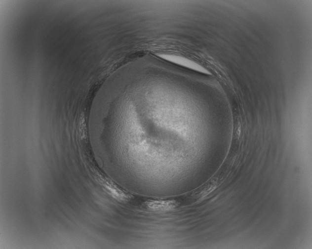 X0000082950465200702152244