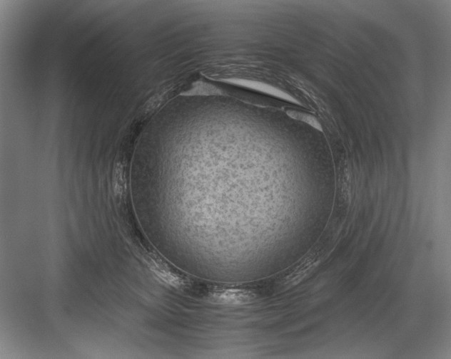 X0000082950467200702152244