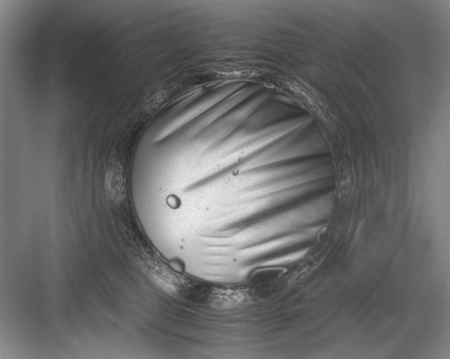 X0000082950469200702152244