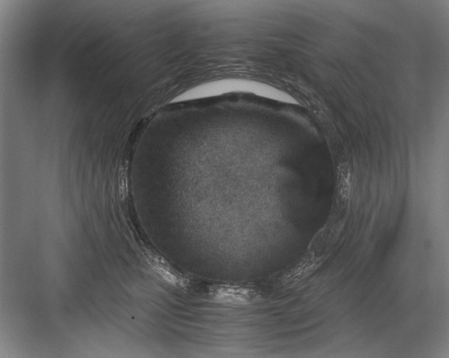 X0000082950471200702152244