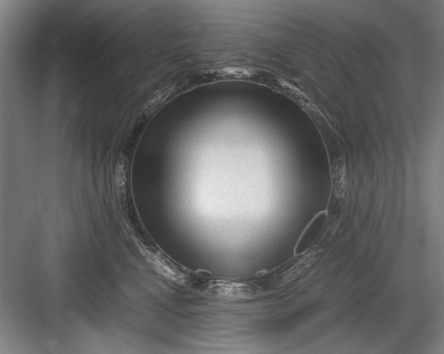 X0000082950472200702152244