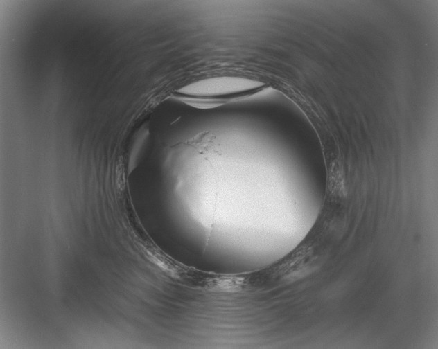 X0000082950474200702152244