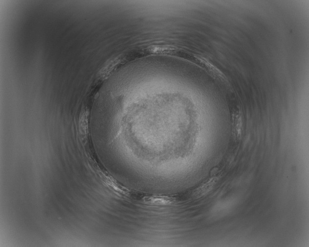 X0000082950475200702152244