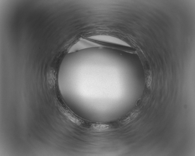 X0000082950476200702152244