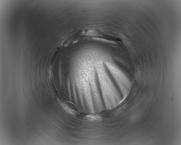 X0000082950477200702152244