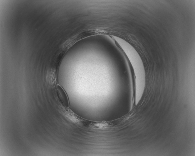 X0000082950478200702152245