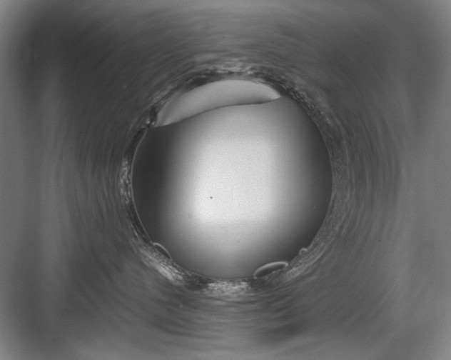 X0000082950480200702152245