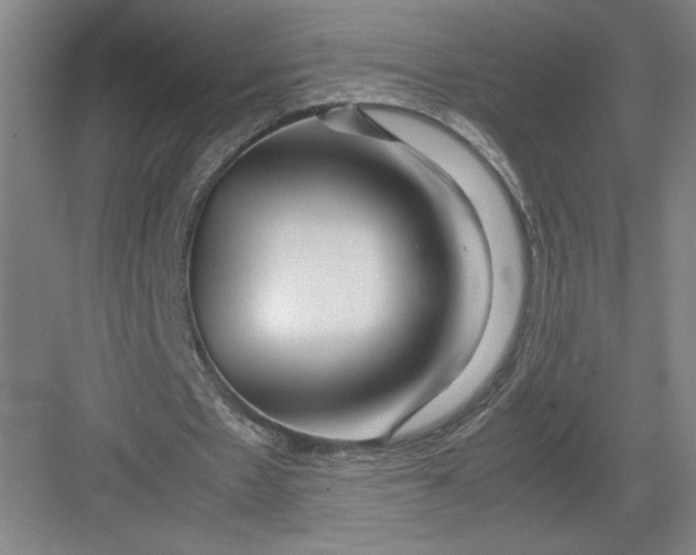 X0000082950481200702152244