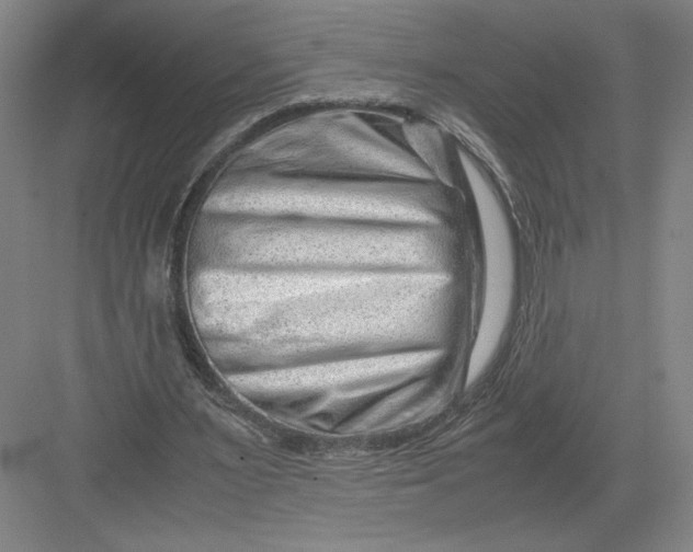 X0000082950483200702152244