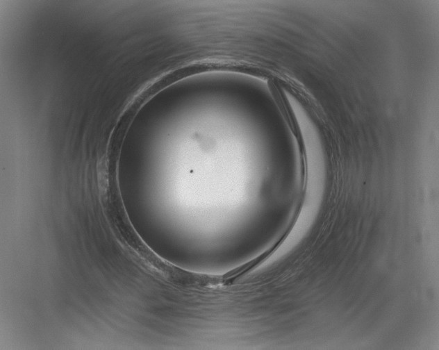 X0000082950484200702152244