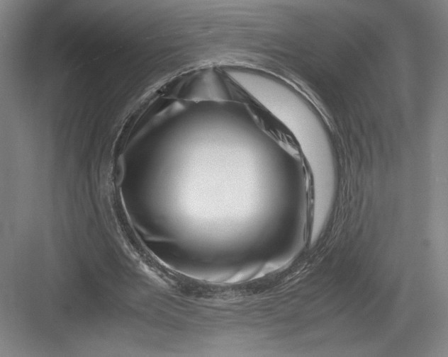 X0000082950485200702152244