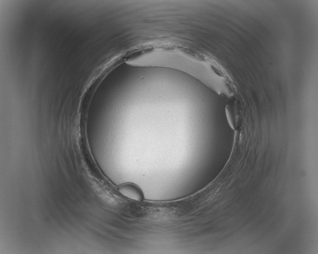 X0000082950486200702152244