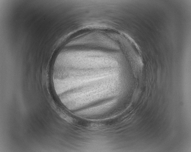 X0000082950487200702152244